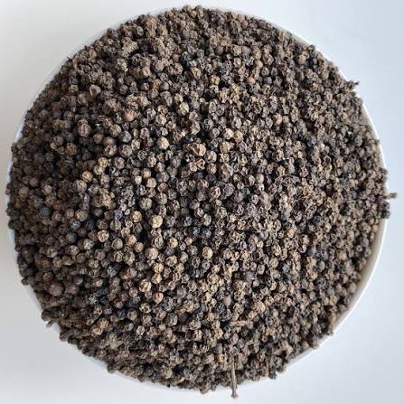 WhatsApp Image 2025-09-16 at 06.37.00_13e76be0