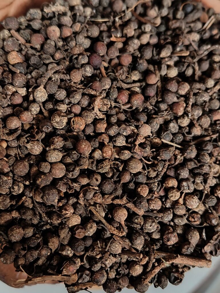 WhatsApp Image 2025-09-16 at 06.37.01_0074fe45